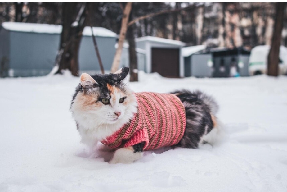 Снег и гололедица будут спутниками кузбассовцев в ближайшие дни