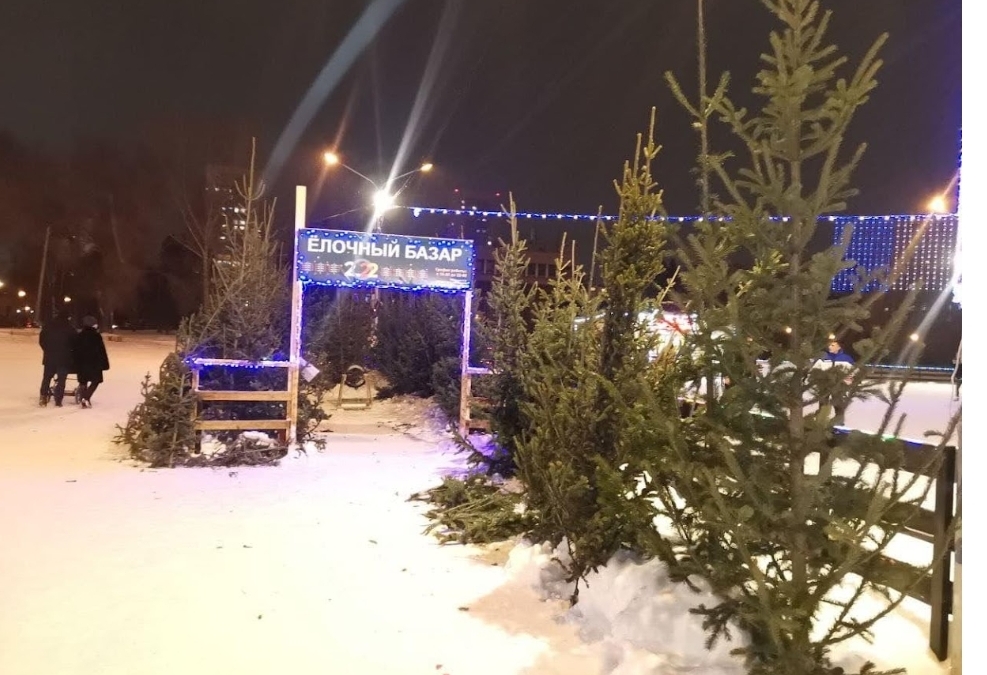 «Растраты к нам приходят»: насколько взлетели цены на натуральные ели 