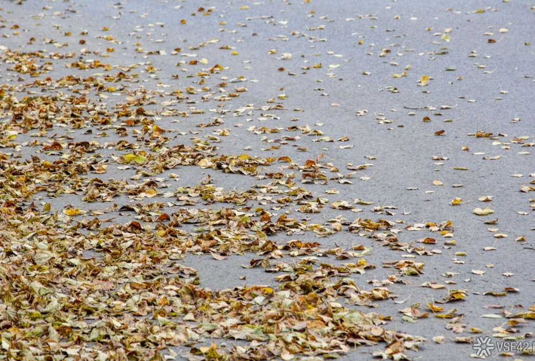 Ураганный ветер обрушится на Кузбасс в выходные
