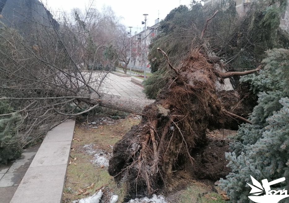 Стали известны причины адского урагана, накрывшего Кузбасс