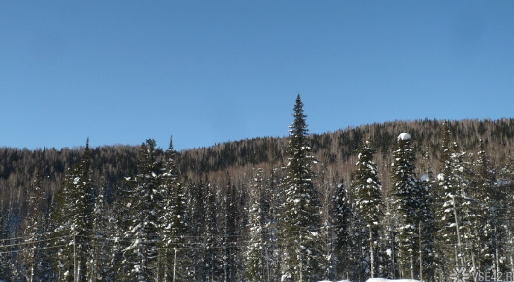 Заблудившийся мужчина и собака провели пять суток в тайге в Кузбассе