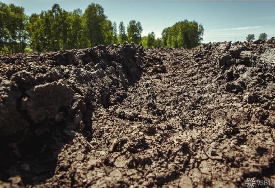Больше 100 гектаров земли Кемеровской области отойдут Хакасии