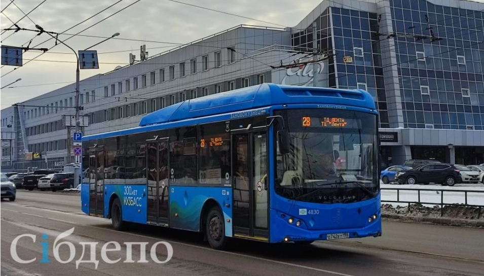 ГИБДД назвала главные нарушения в работе «Питеравто» в Новокузнецке