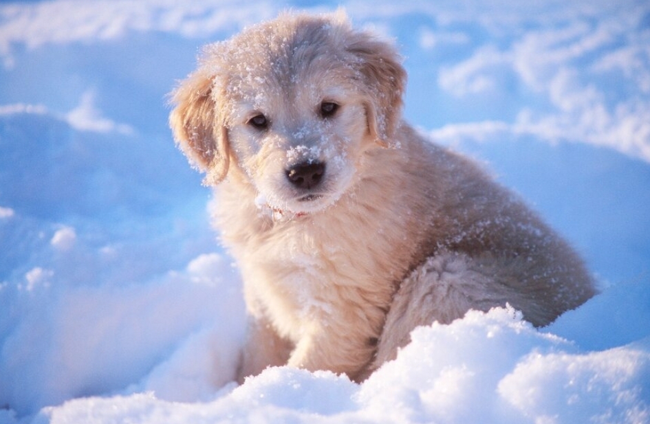 Морозы всё: в Кузбасс придёт потепление до -15