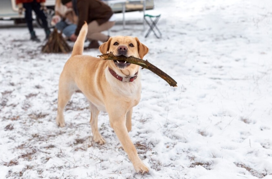 День в майке, день  в фуфайке: температурные качели с -38 до -3 ждут кузбассовцев в ближайшие дни