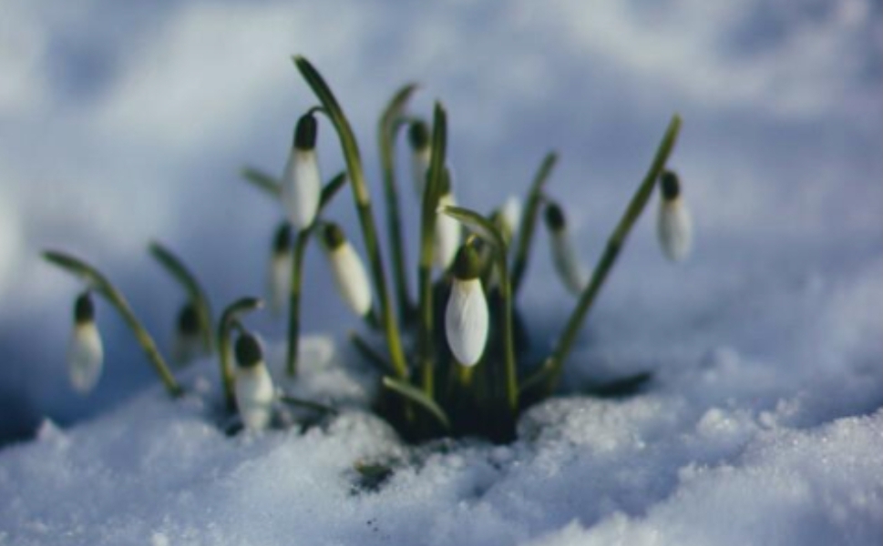 Резкий «плюс»: сказочная апрельская погода вот-вот накроет Кузбасс