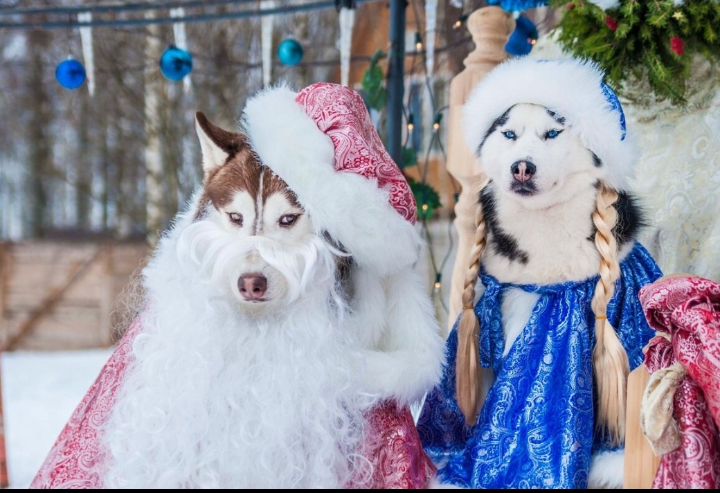 Главное – чтобы подарки раздавали!