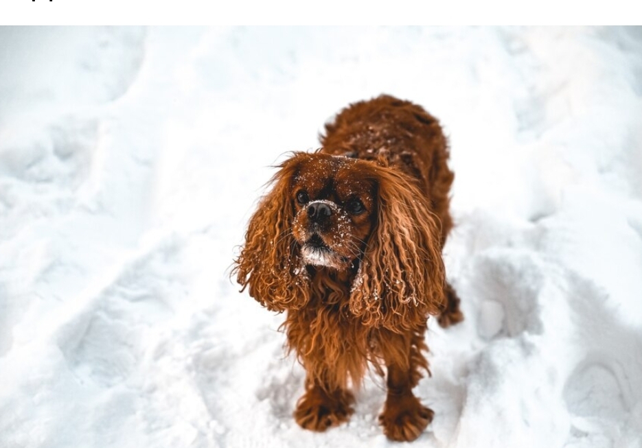 Готовьте  коньки: гололёд и сильные температурные качели будут испытывать кузбассовцев на прочность