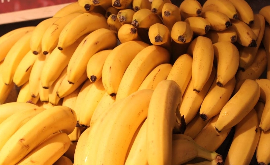 Эксперты предлагают выращивать бананы в России: близится дефицит бананов с Эквадора