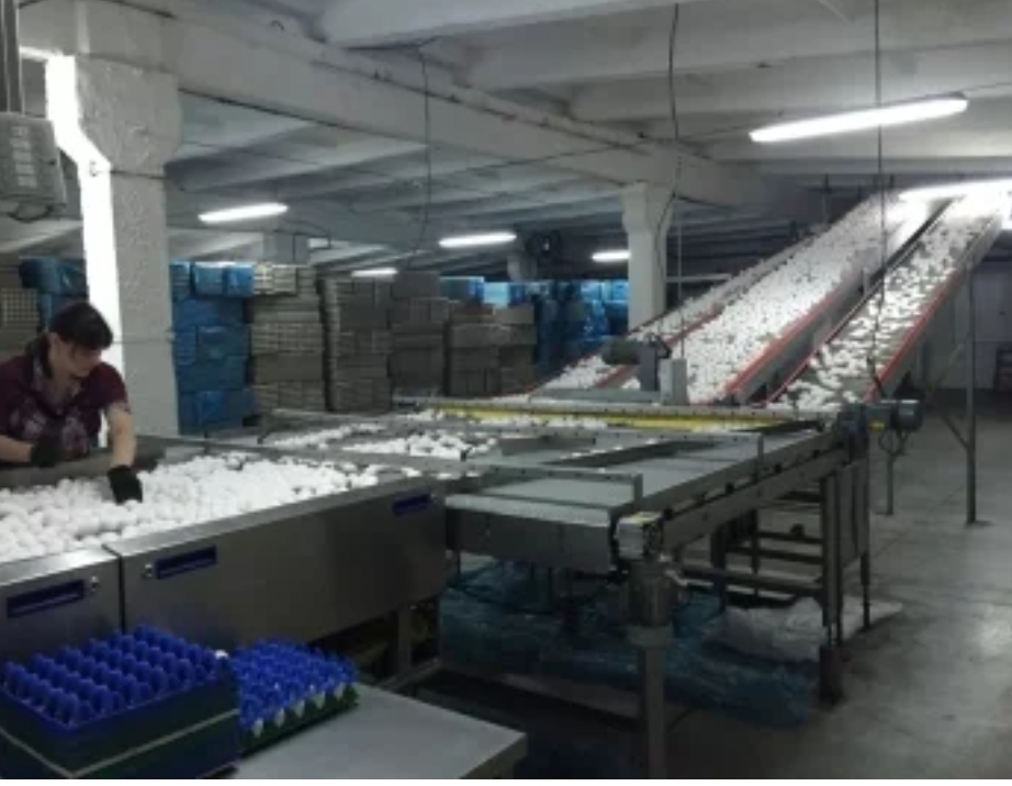 Сергей Цивилёв: Кузбасс установил рекорд по производству яиц