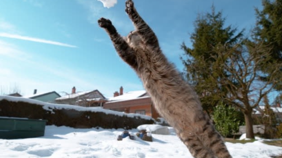 Весна набирает обороты: в Кузбассе потеплеет до +4