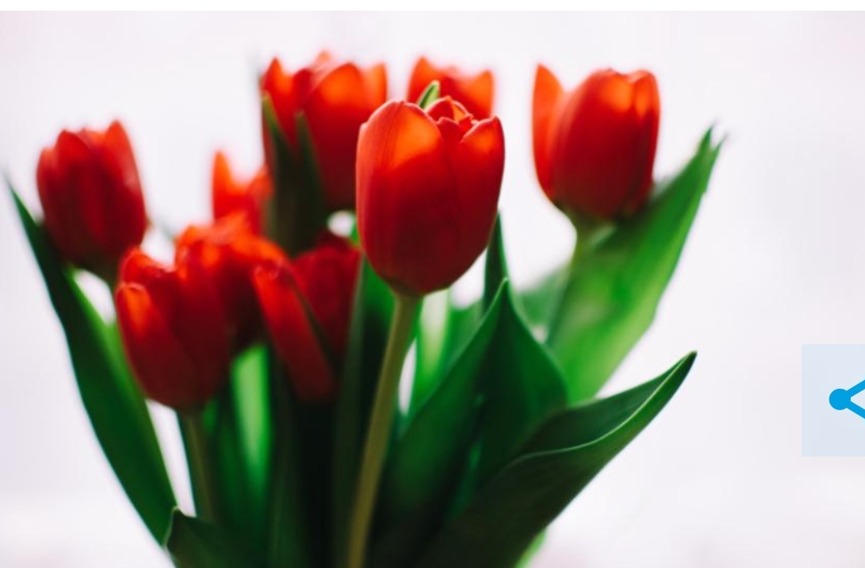 Погода на 8 Марта ужасно разочарует кузбассовцев