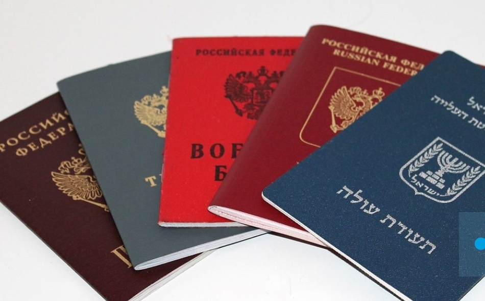 Паспорт надо заслужить: в России предлагают усложнить иностранцам процесс получения гражданства