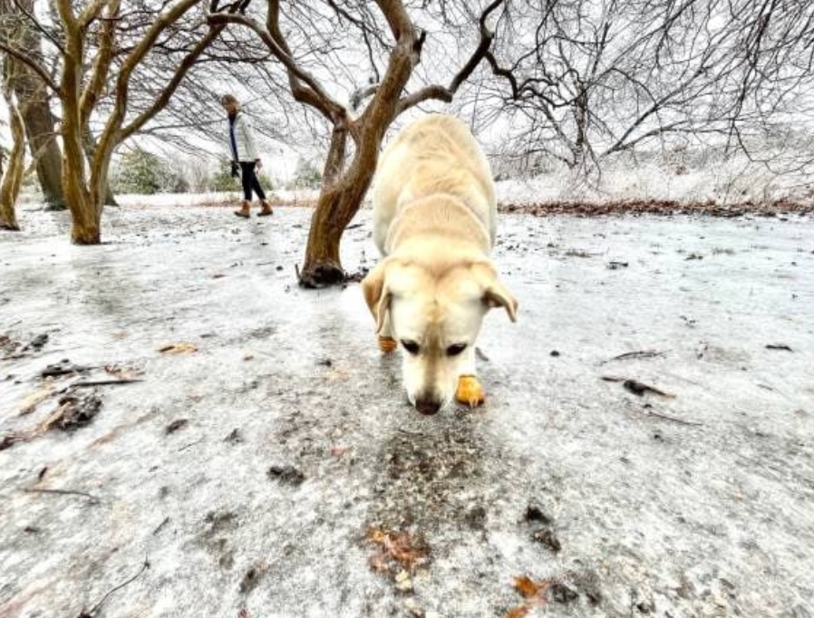 Штормовой ветер и резкие перепады Температура от -20 до +5 испытают кузбассовцев на прочность