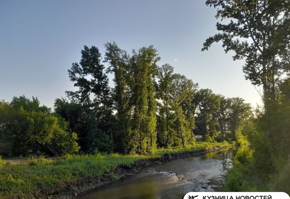 Родителей в Кузбассе начнут жёстко штрафовать за оставление детей у воды без присмотра