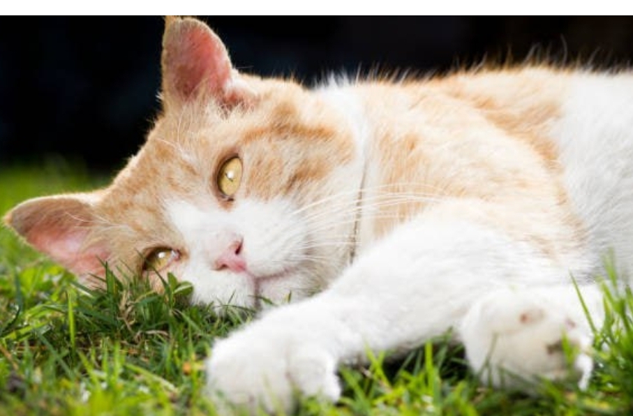 Резкие  температурные скачки от -6 до +28 придут в Кузбасс