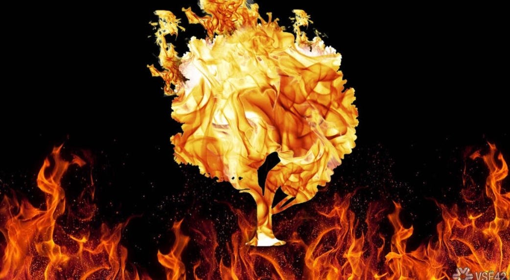 Высокая пожароопасность возникла в Кузбассе из-за сухой и ветреной погоды