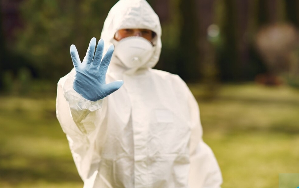 В городах Кузбасса будут массово уничтожать опасных паразитов