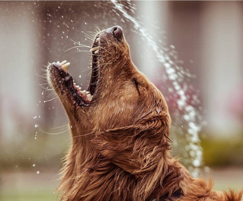 Непогода возвращается: заморозки и грозы придут в Кузбасс