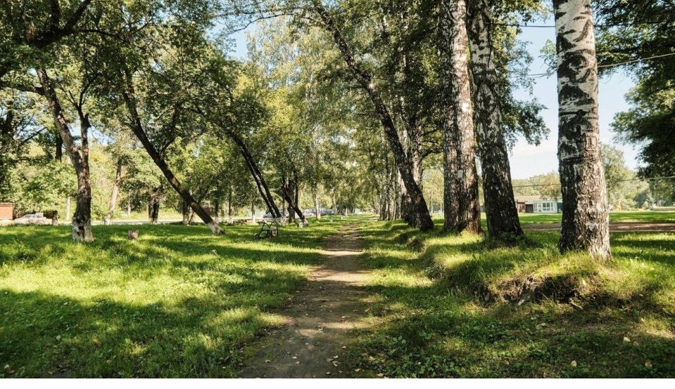 Вырубить и застроить: общественные слушания не оставили парку «Водный» шансов