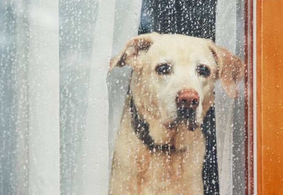 Лето закончилось: похолодание и сильные дожди придут в Кузбасс