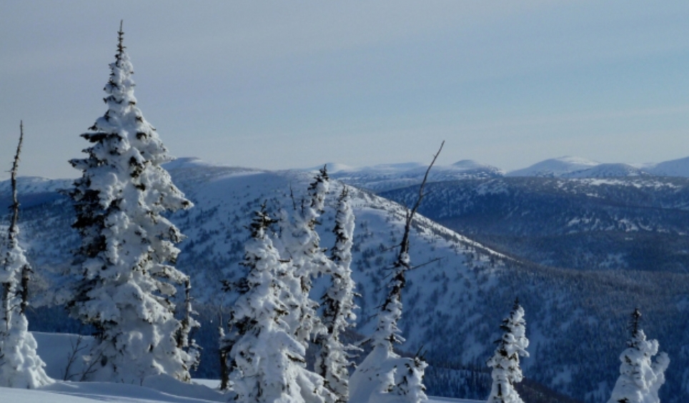 В Кузнецком Алатау обнаружено загрязнение почвы опасными веществами