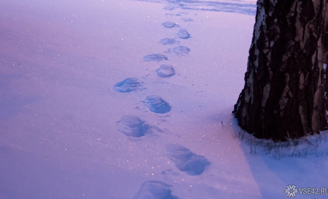 Синоптики рассказали о похолодании до –23°C в Кузбассе на неделе