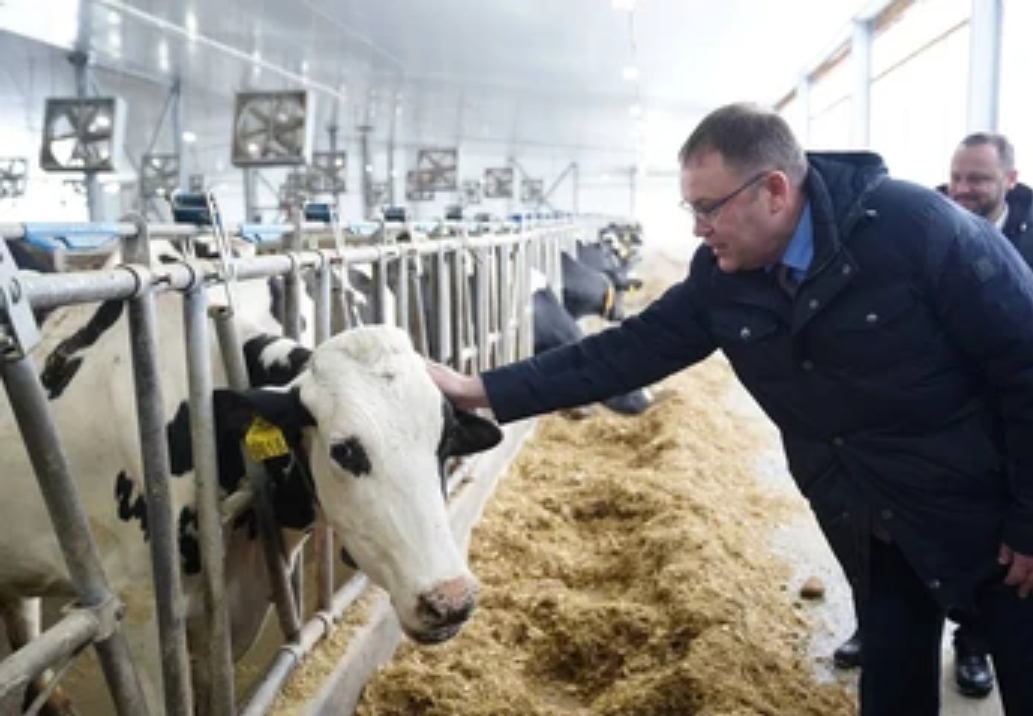 Роботы на ферме и новые заводы: Кузбасс делает ставку на молочное производство