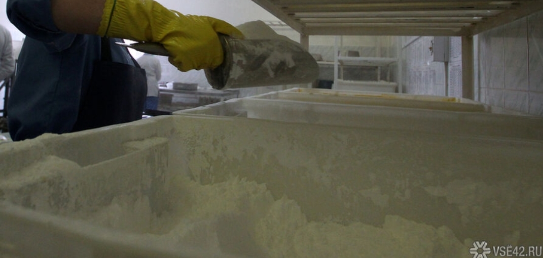 Экспорт зерна из Кузбасса значительно вырос