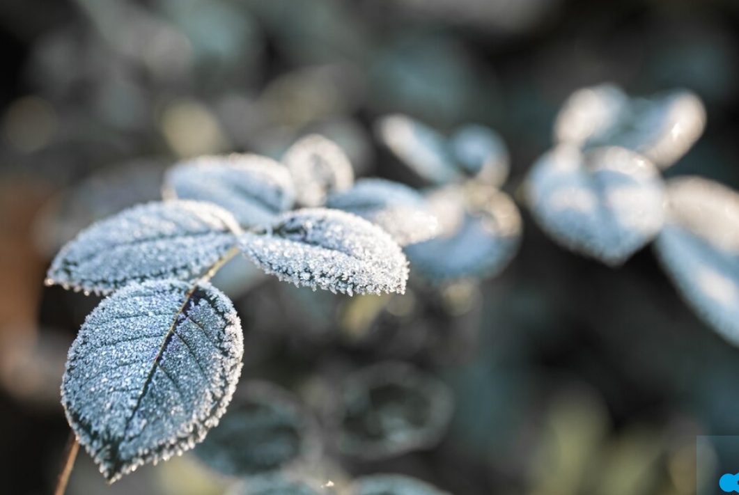 Страшный шторм, дождь и мороз: лютая погода придет в Кузбасс на этой неделе