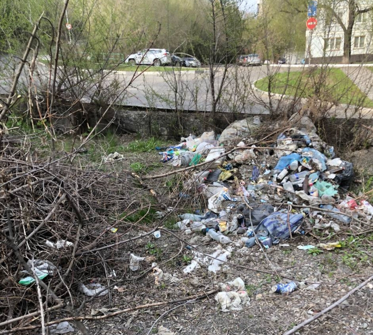 Дорога к Чертову мосту в Новокузнецке заросла мусором