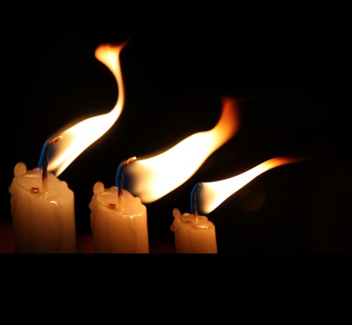 Чтобы оставались живыми их голоса