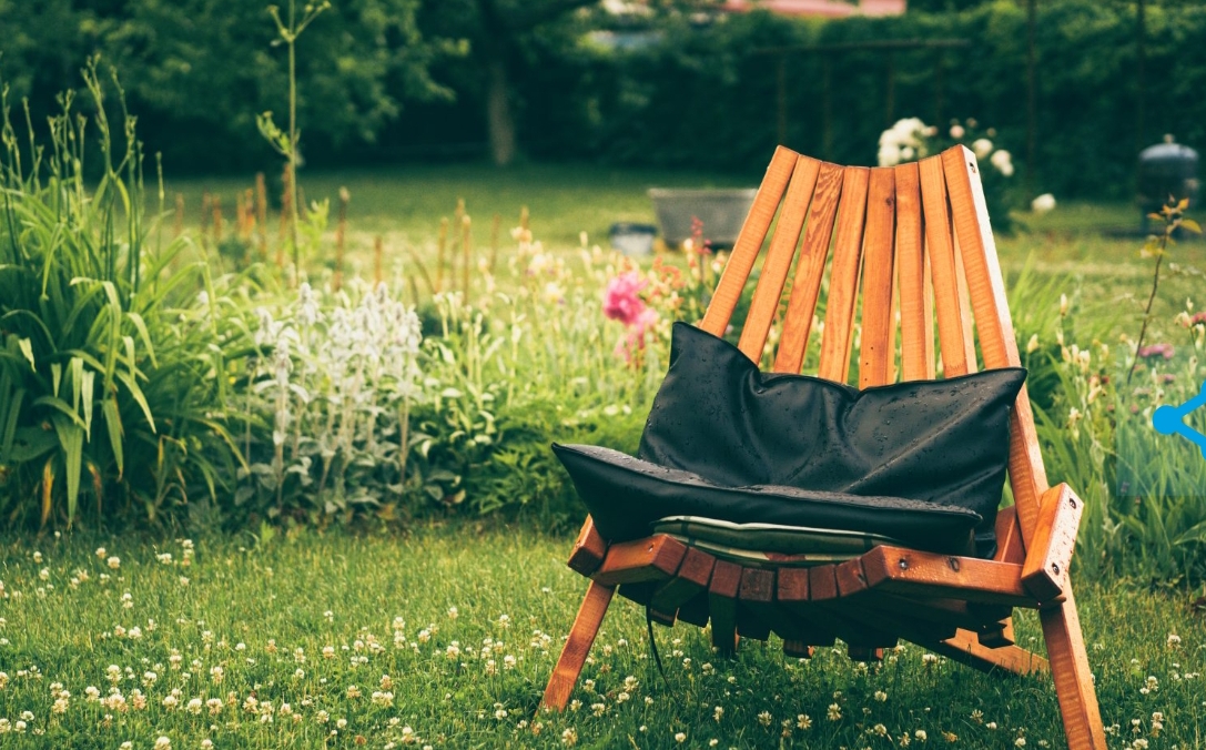 До миллиона: всего одно растение на участке способно навлечь на россиян разорительные штрафы