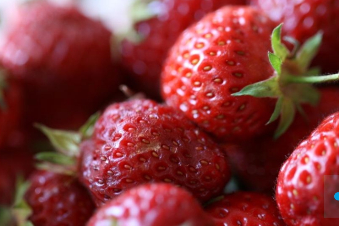 Специалист рассказал, почему червивая ягода — самая лучшая