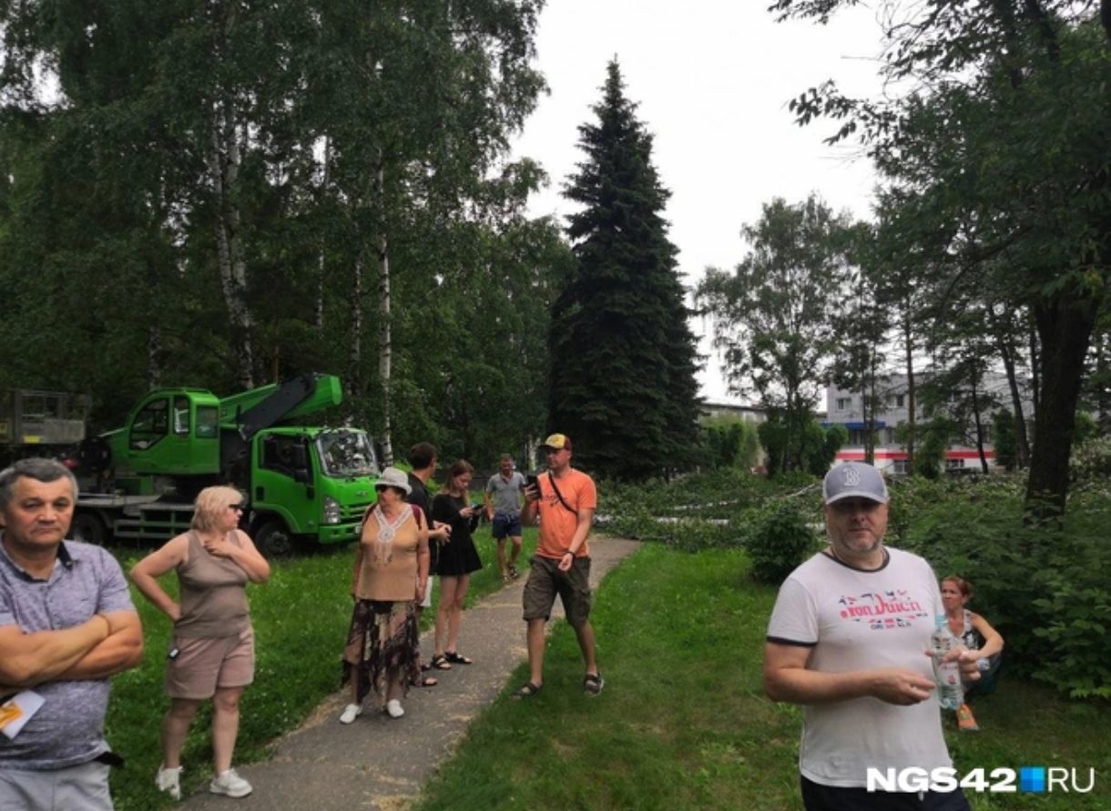 Строители приостановили вырубку новокузнецкого сквера