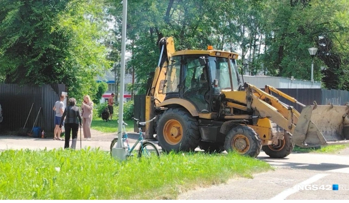Взамен вырубленных тяжелой техникой деревьев посадят новые