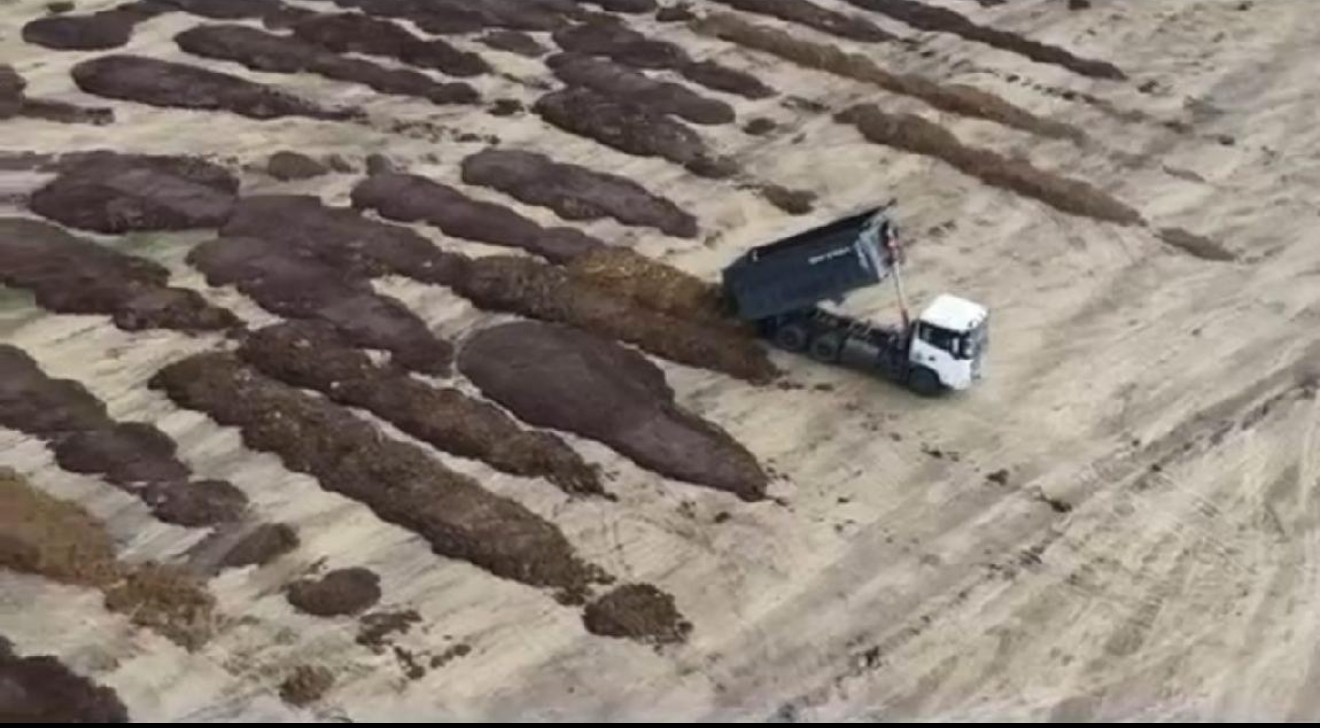 В Кузбассе 300 гектаров земель загадили фтором и цинком