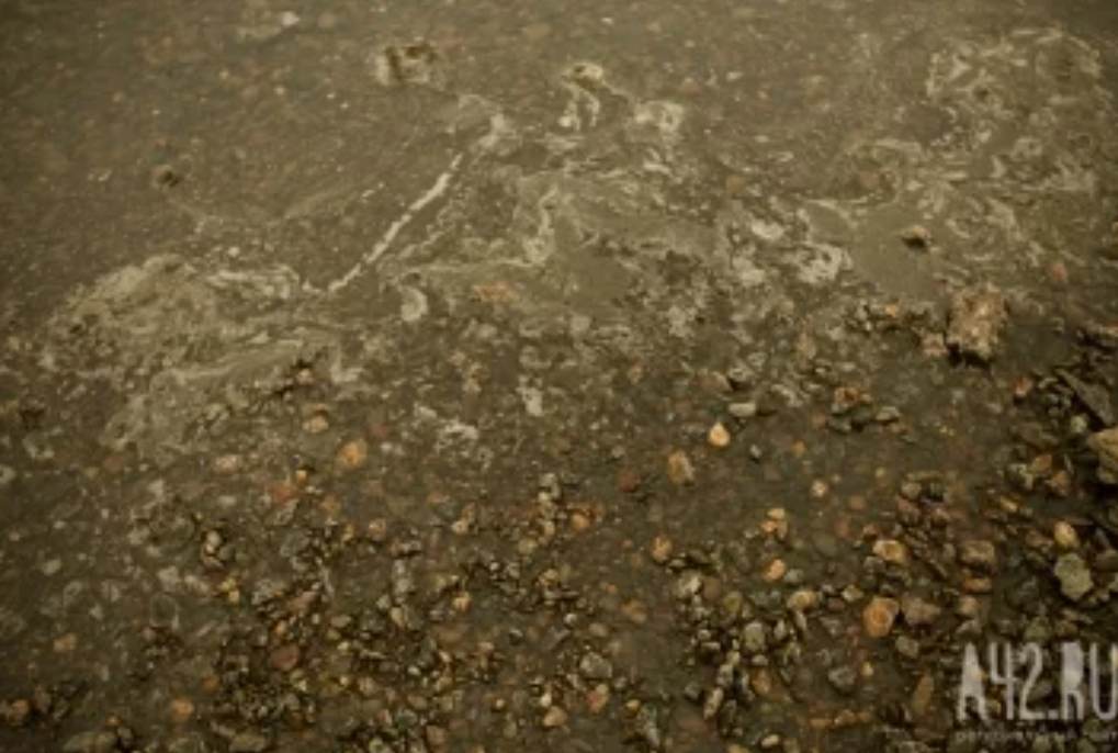 Илья Середюк: золотодобытчики могут лишиться лицензий в Кузбассе