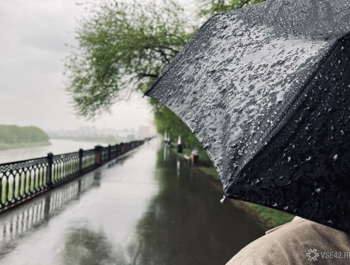 Ближайшие дни в Кузбассе окажутся дождливыми