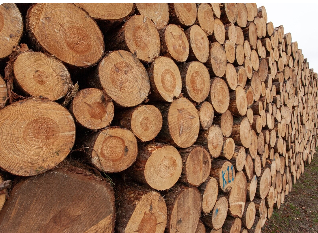 Почти 80% леса из Кузбасса идет на экспорт в Китай