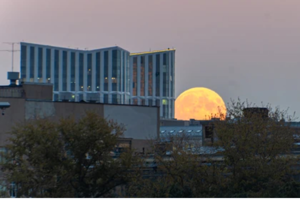 Жители Кузбасса увидят «Оленью Луну» в ночь на 11 июля