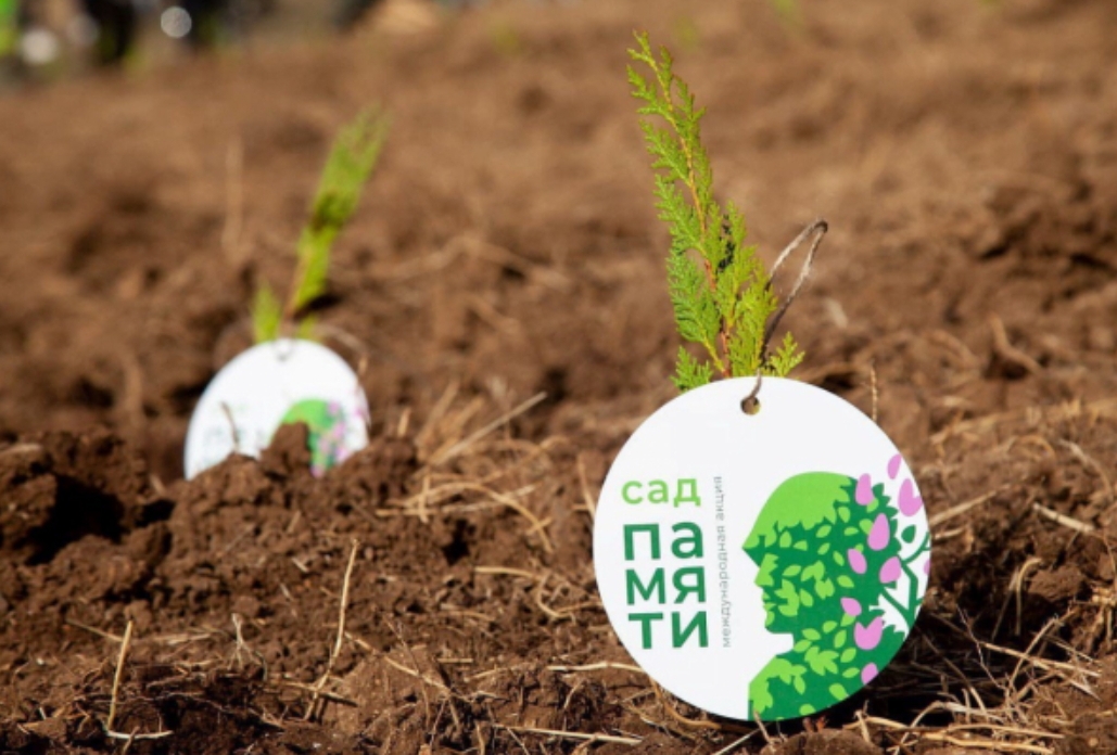 Кузбасс вошел в тройку лидеров по итогам акции «Сад Памяти»