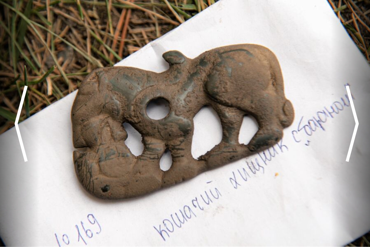 Ученые нашли уникальные следы древних людей недалеко от Кемерова