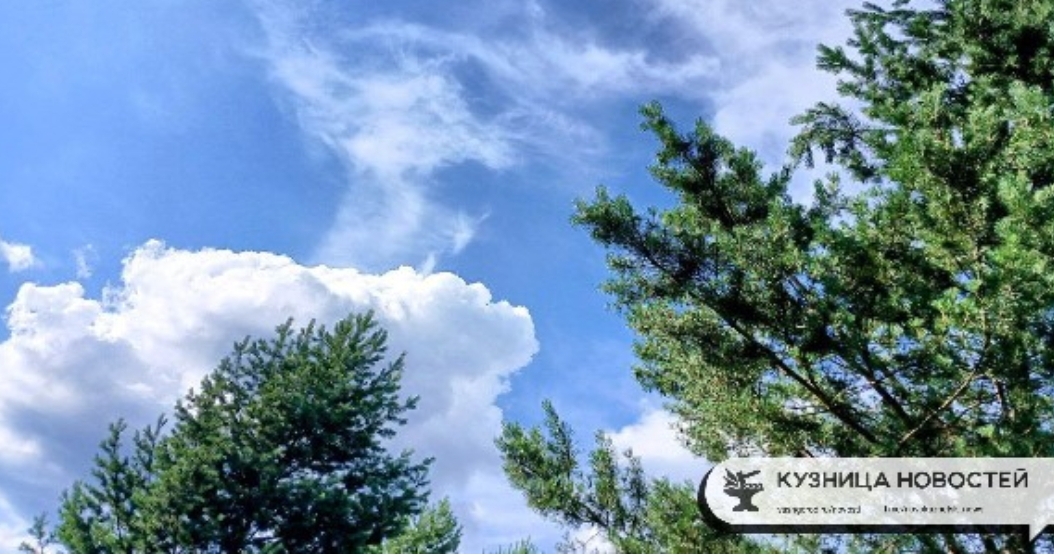 Спилил дерево на даче? Готовь кошелек!