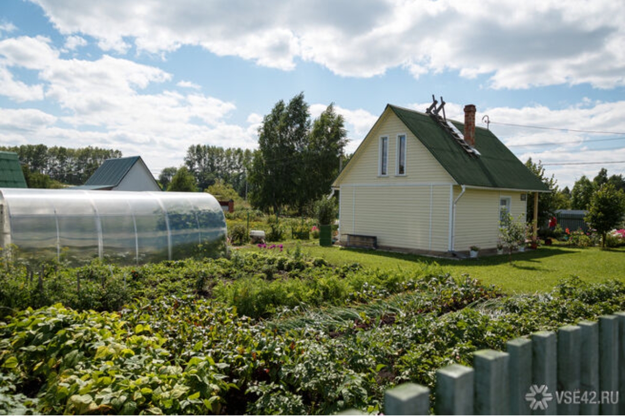 Интерес кузбассовцев к огородничеству возрос