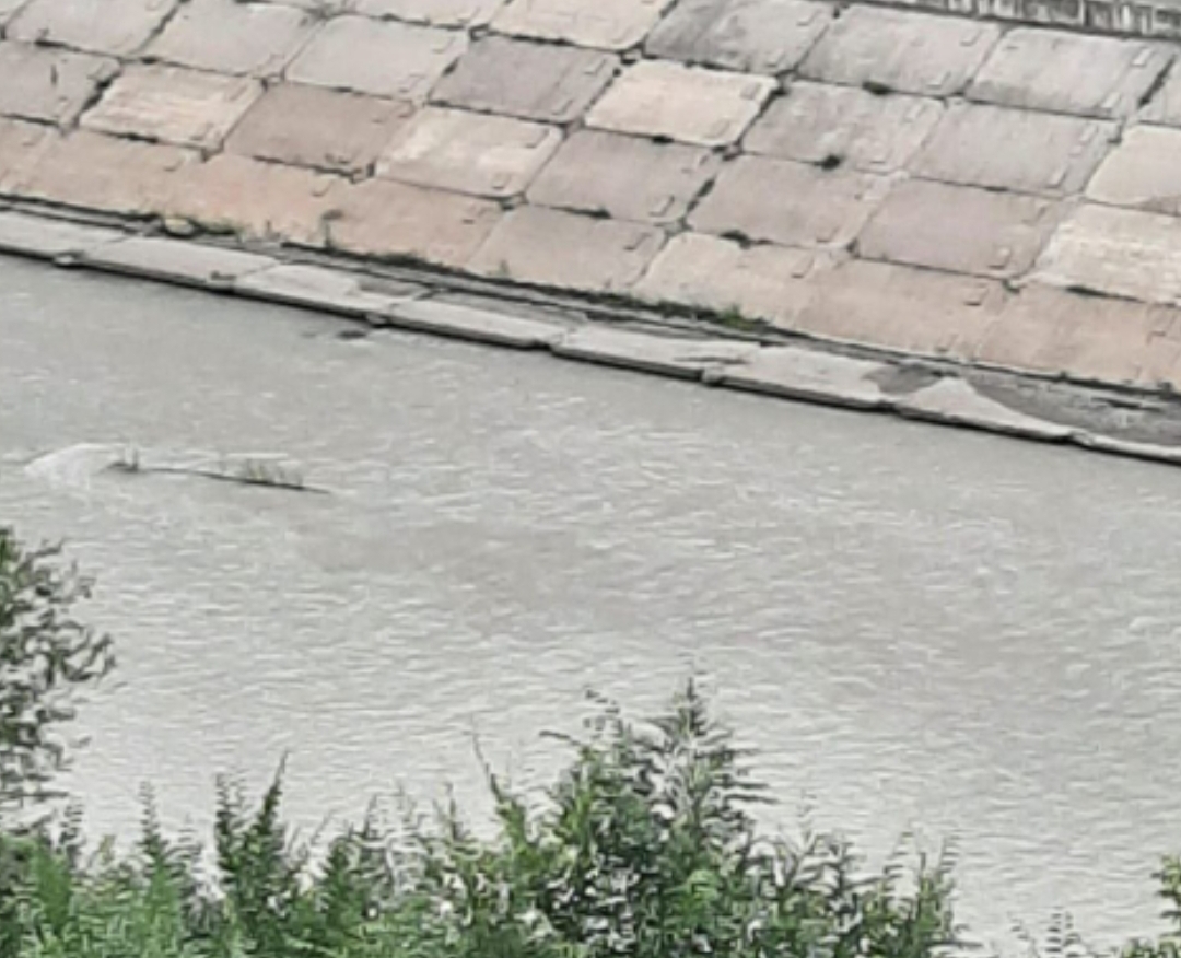 «Окно не открыть»: в Новокузнецке река Аба резко побелела и стала вонять аммиаком