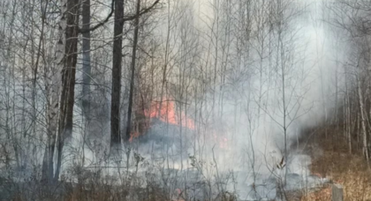 В Кузбассе ликвидировали 18 лесных пожаров с начала сезона