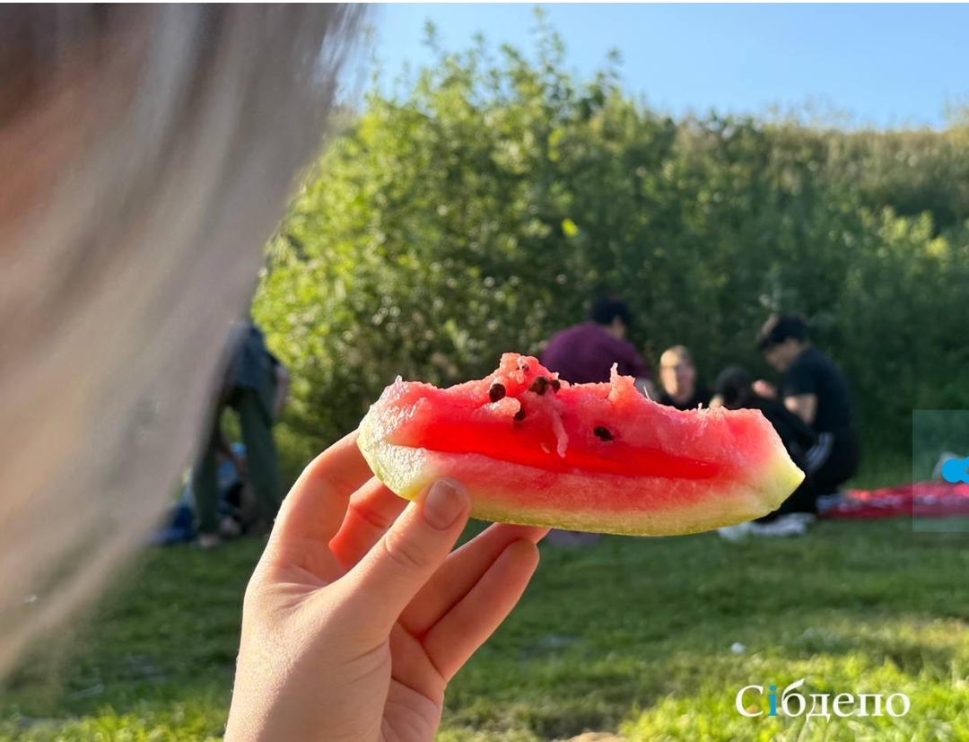 Кузбассовцам рассказали, как выбрать самую вкусную ягодку в сезоне