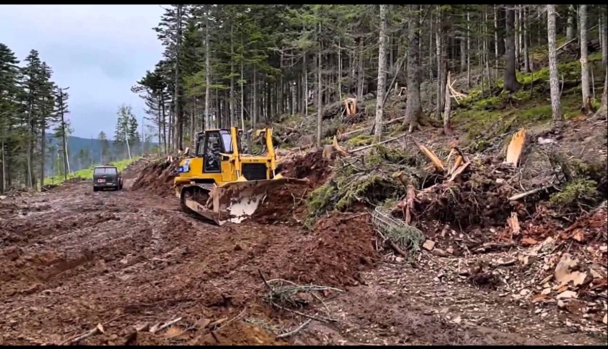 Перспективы бесперспективные
