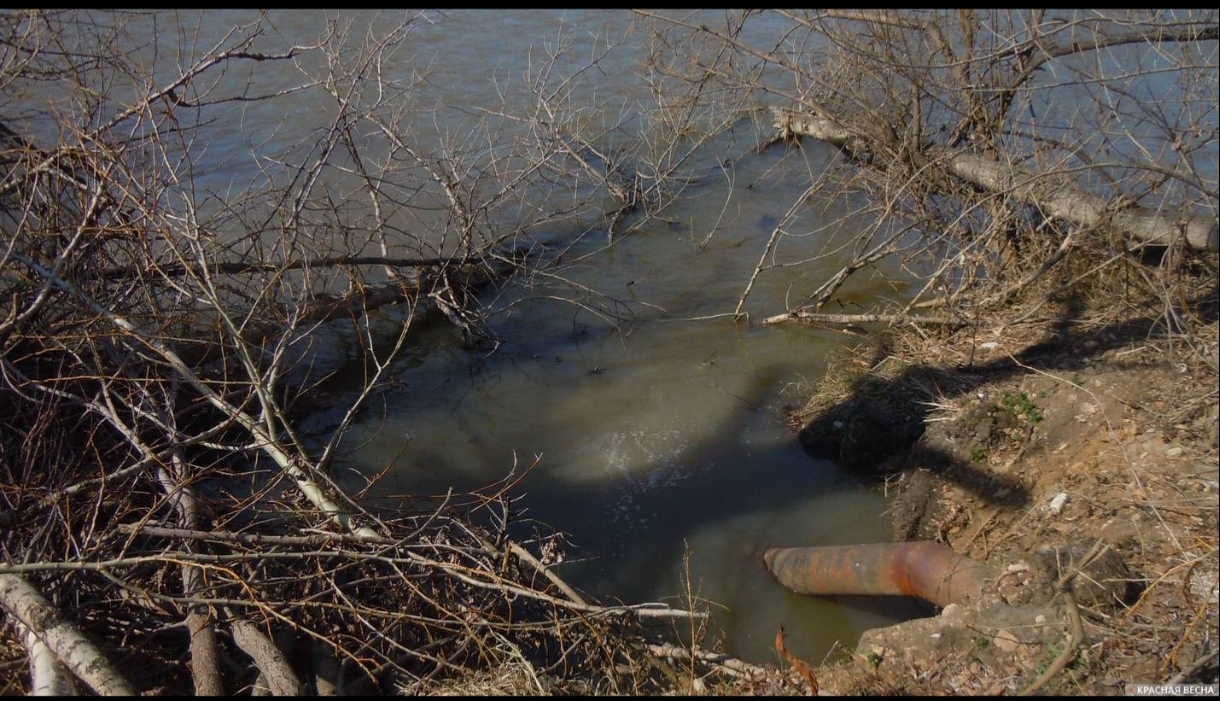 Коммунальщики сливали сточные воду в реку